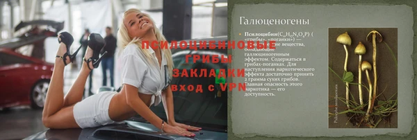ECSTASY Вяземский
