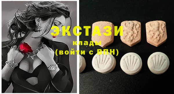 ECSTASY Вяземский