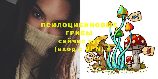 Альфа ПВП Горнозаводск