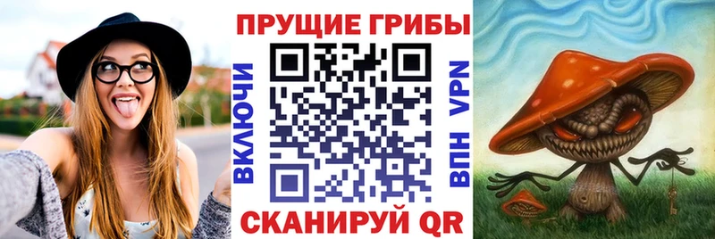 Галлюциногенные грибы мицелий  купить   Ачхой-Мартан 